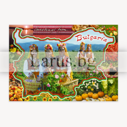Пощенска картичка България 1-BG-0064