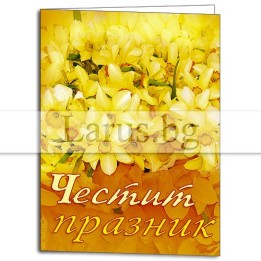 ПМ 0049 1-PM-0049