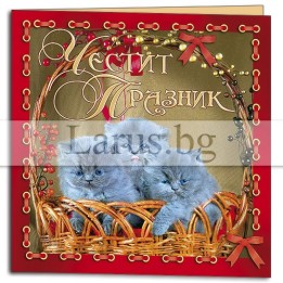 Мини картичка с котенца - Честит празник | 1-PM-0118