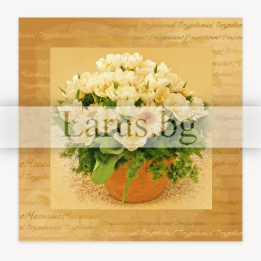 Поздравителна картичка с бели цветя - 16x16 см