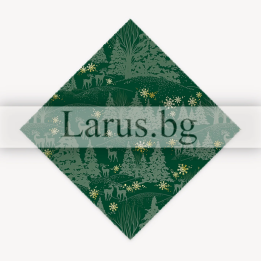Опаковъчна хартия 0066 14-PG-0066