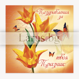 ПМ 0219 1-PM-0219