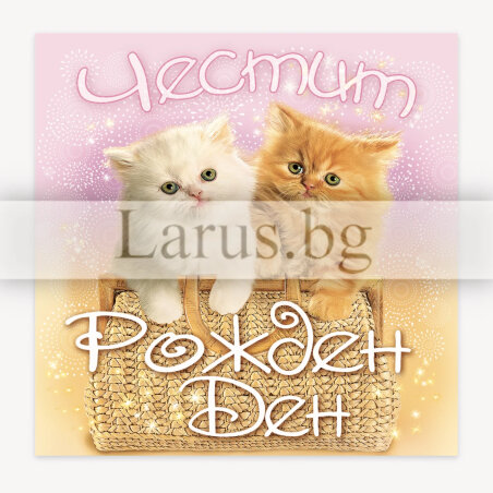 Мини картичка за рожден ден с котета | 1-PM-0228