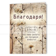 Благодаря